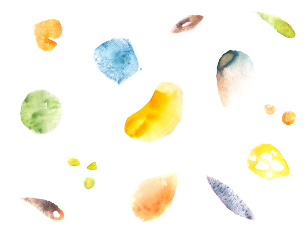 Potato printed shapes of different seeds on a white background.